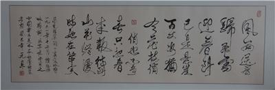 中国书法美术家协会副主席 南安市书画协会会长褚子良题词